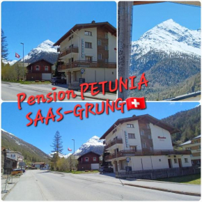 Chalet Petunia In Swiss Alps